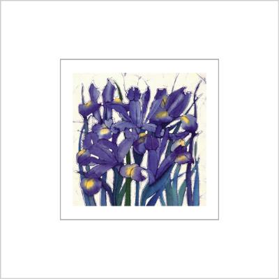 No. 514 Iris Reticulata - signed Small Print.